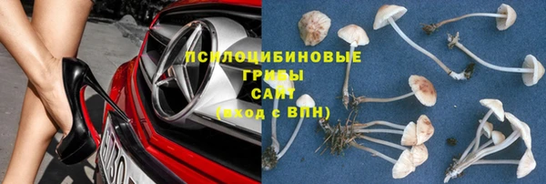 ешки Арсеньев