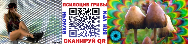 Псилоцибиновые грибы прущие грибы  Порхов 